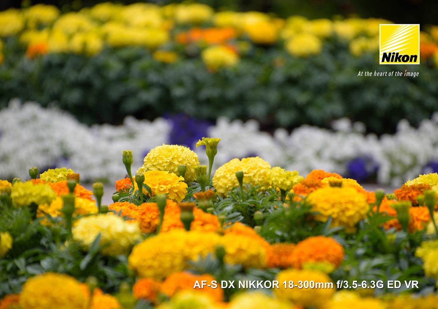AF-S DX NIKKOR 18-300mm f/3.5-6.3G ED VR 6