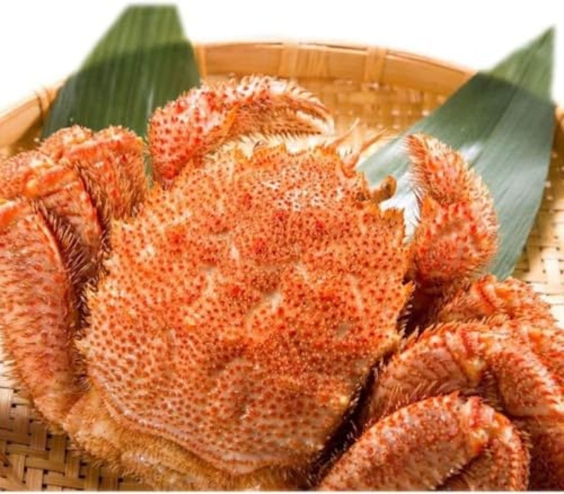 毛蟹 1