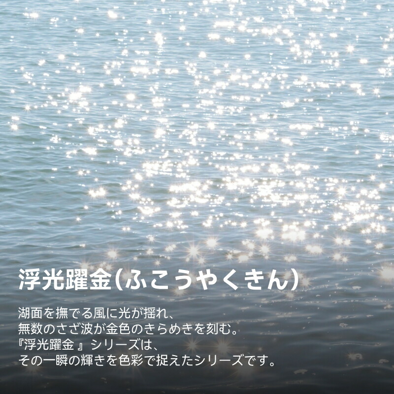 浮織ケース 3