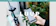 Luup LUUP 1