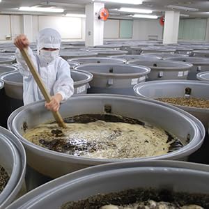 生きてる 青パパイヤ酵素プレミアム 3
