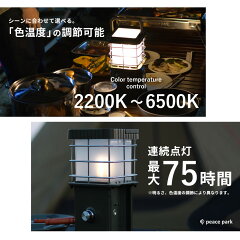 ワイルドランプ 4