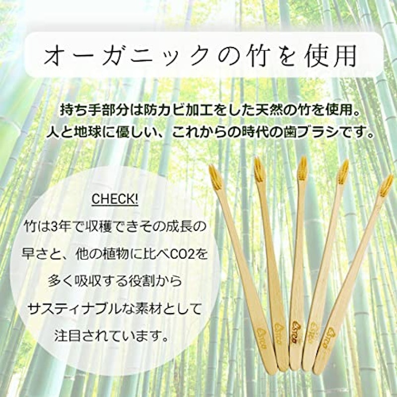 竹歯ブラシ 2