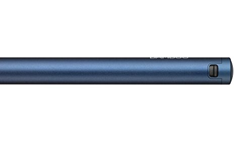 Bamboo Tip 1