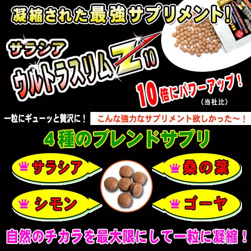 森のこかげ 健やかハウス サラシア ウルトラスリムZ 2