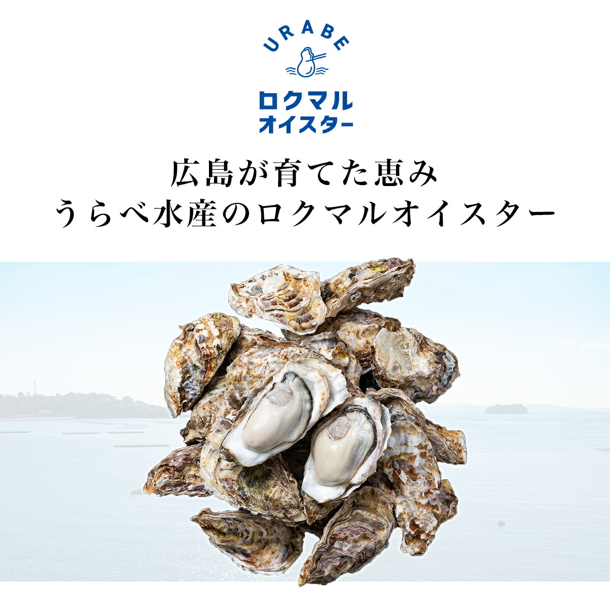 ロクマルオイスター 冷凍かき 3