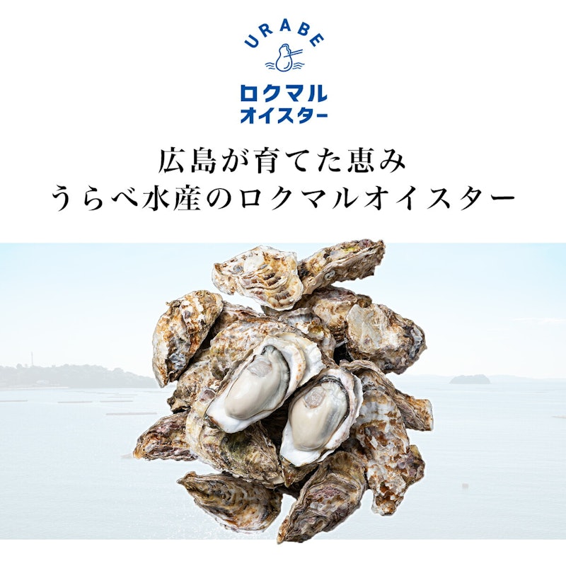 ロクマルオイスター 冷凍かき 3