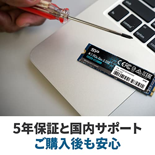 PCIe Gen 3x4 P34A60 4