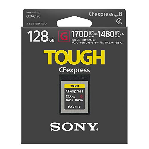 CEB-Gシリーズ CFexpress Type B メモリーカード 2