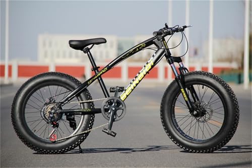 ファットバイク 1