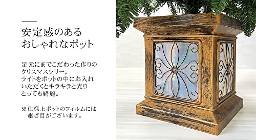 フィルムポットツリー 6