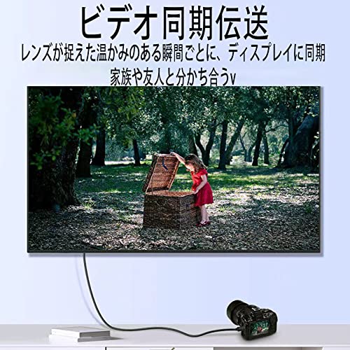  Mini HDMI ケーブル 2