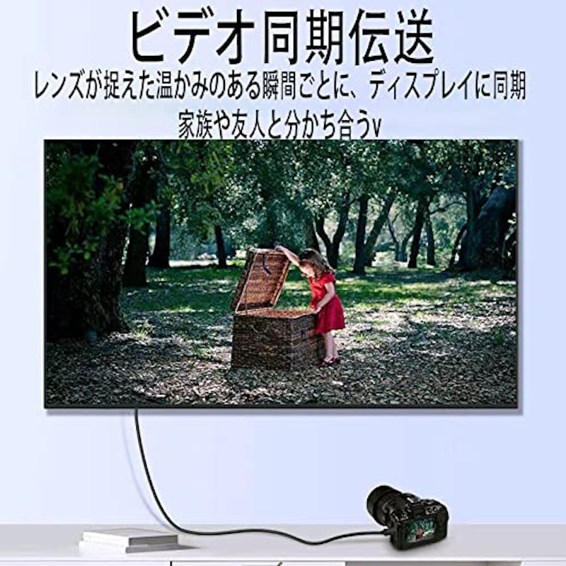 Mini HDMI ケーブル 2