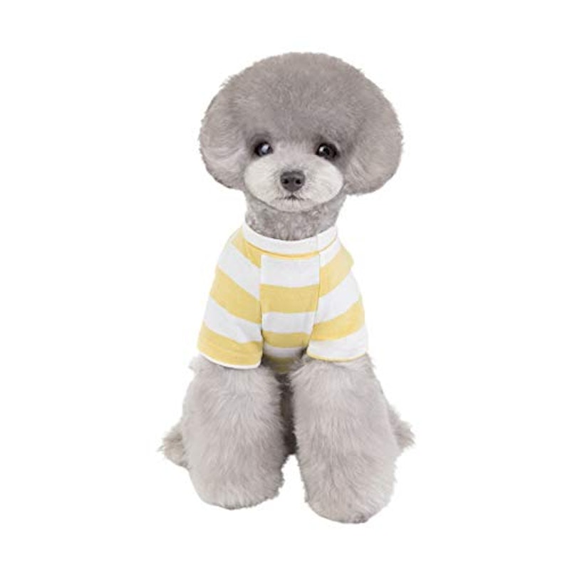 犬服 Tシャツ 4
