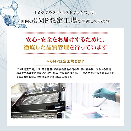 メタプラス ウエストマックス 7