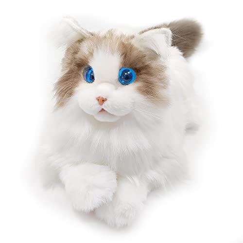 metaCat 1