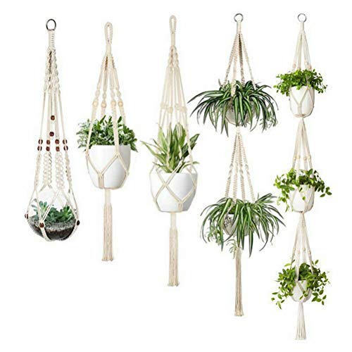 植物ハンガーネット 1