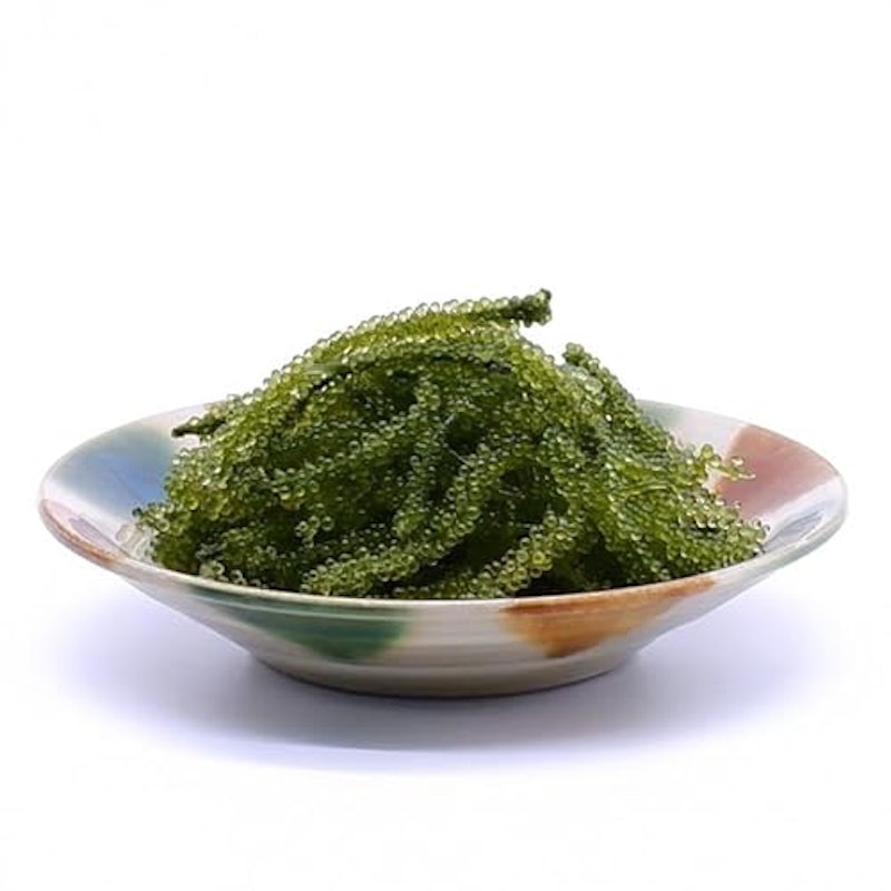 大粒・生 海ぶどう 100g 1