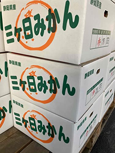 訳ありみかん 1