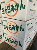 蒲郡みかんのおすすめ人気ランキング【2026年7月】 4