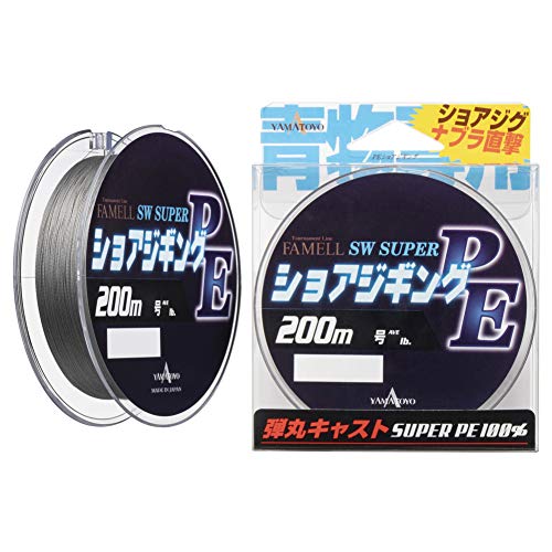 ショアジギングPE 2