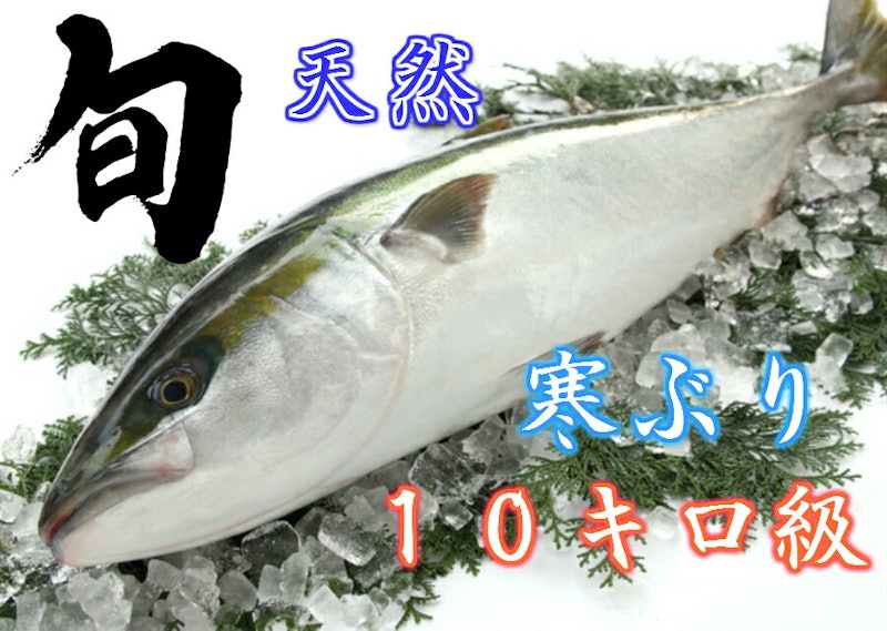 寒ぶりかま 3