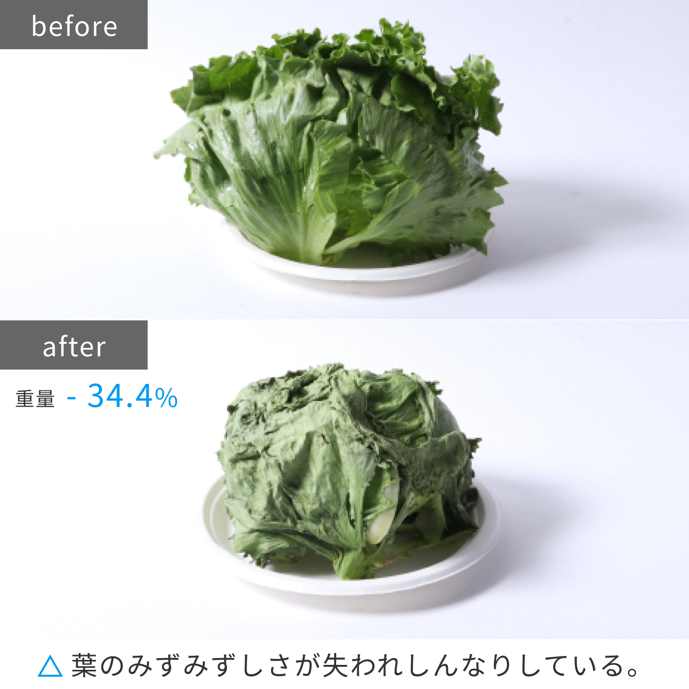 NR−B17CW 12