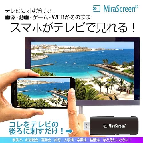 ミラスクリーンレスーバー 2