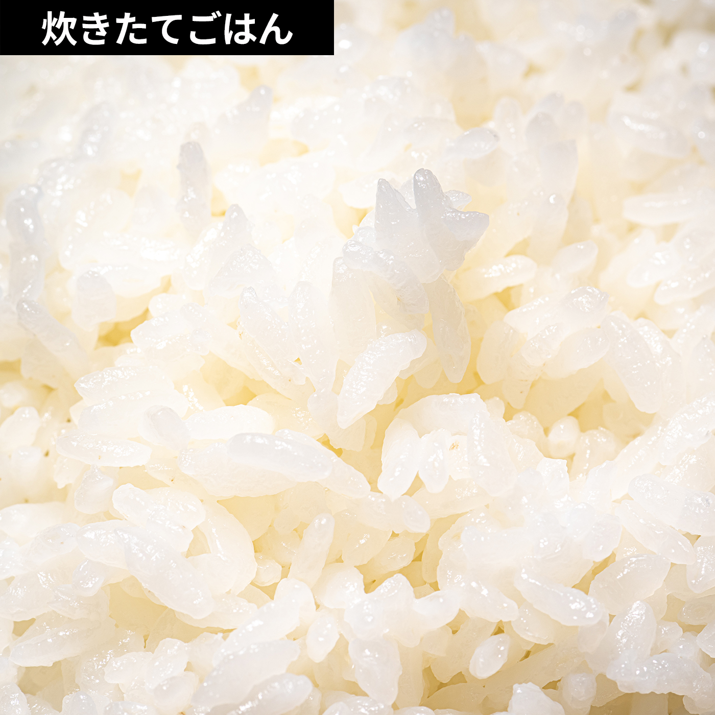 ジャー炊飯器 10