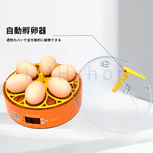 自動孵卵器 5