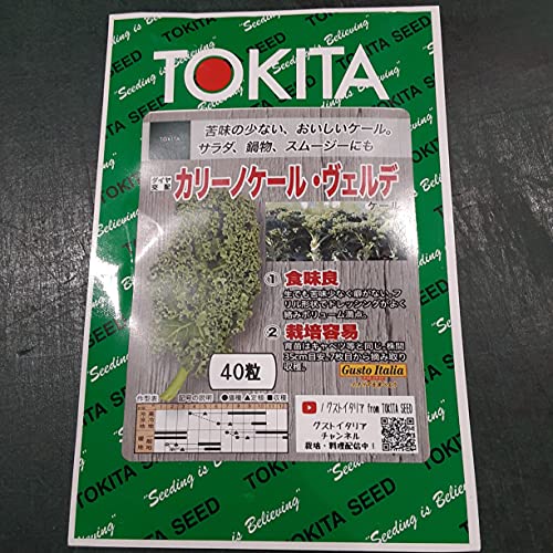 カリーノケールヴェルデ 1