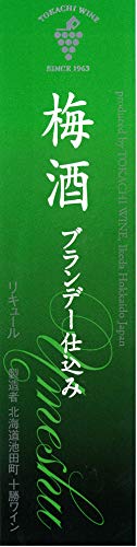梅酒ブランデー仕込み 2