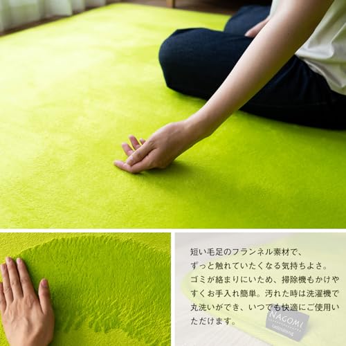 NAGOMI 3