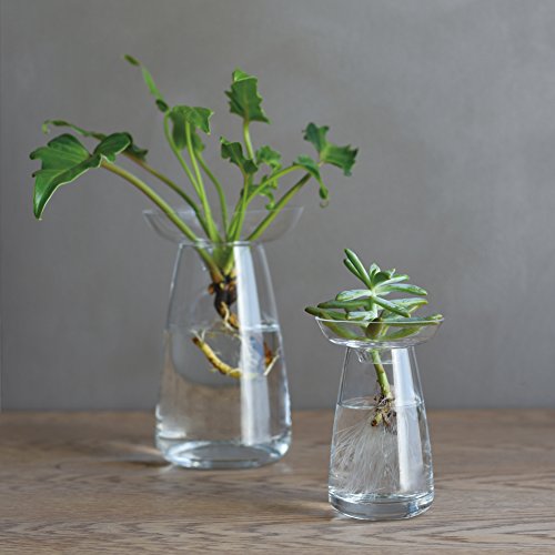 22年 花瓶のおすすめ人気ランキング37選 おしゃれでかわいい Mybest