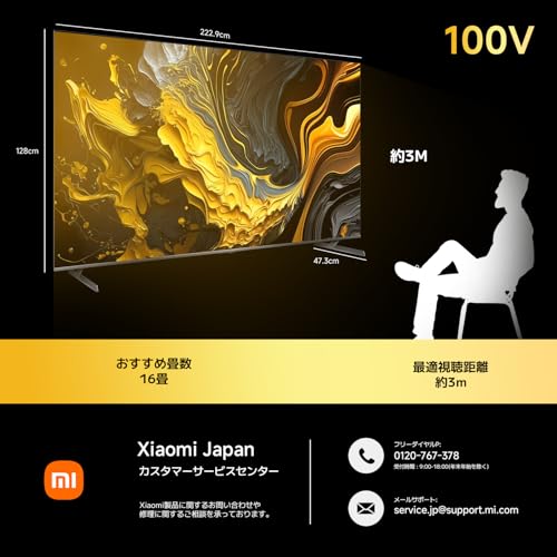 チューナーレステレビ 100インチ 2