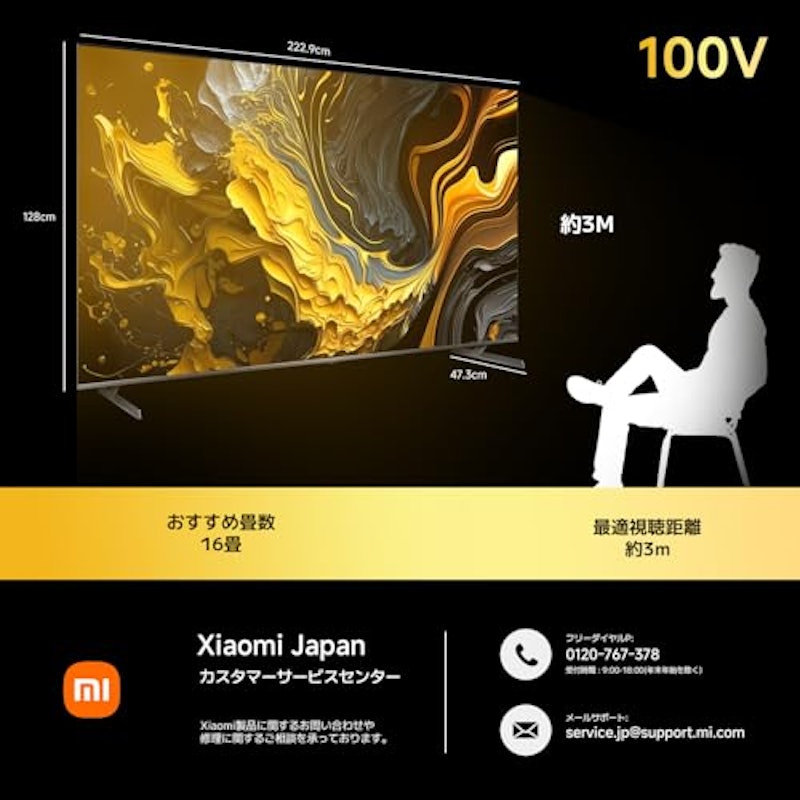 チューナーレステレビ 100インチ 2