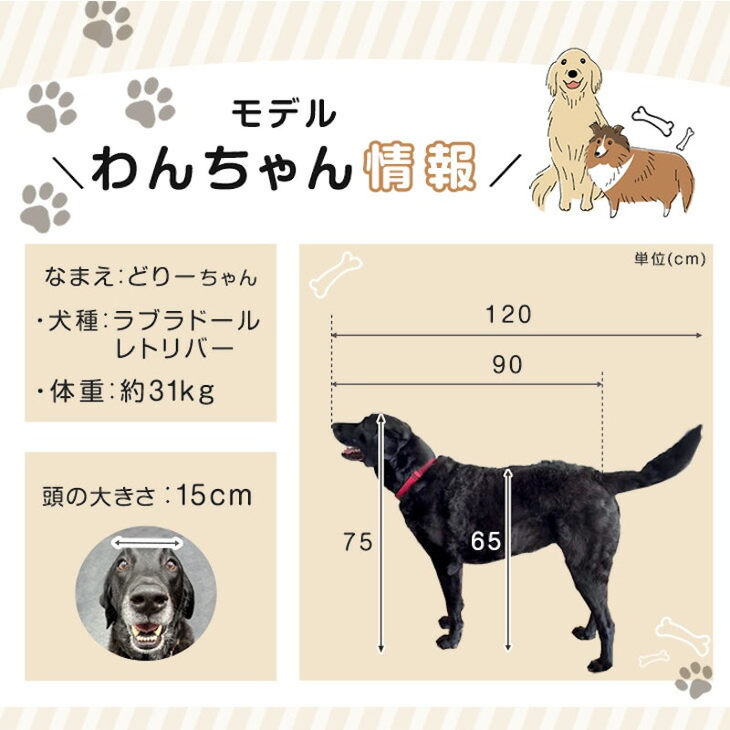 バリアフリーペットサークル 13