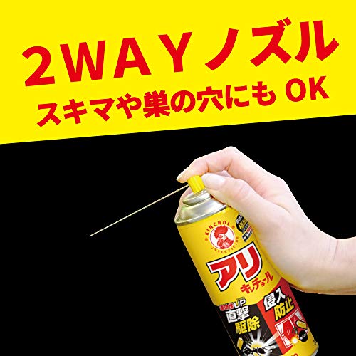 アリキンチョール 3
