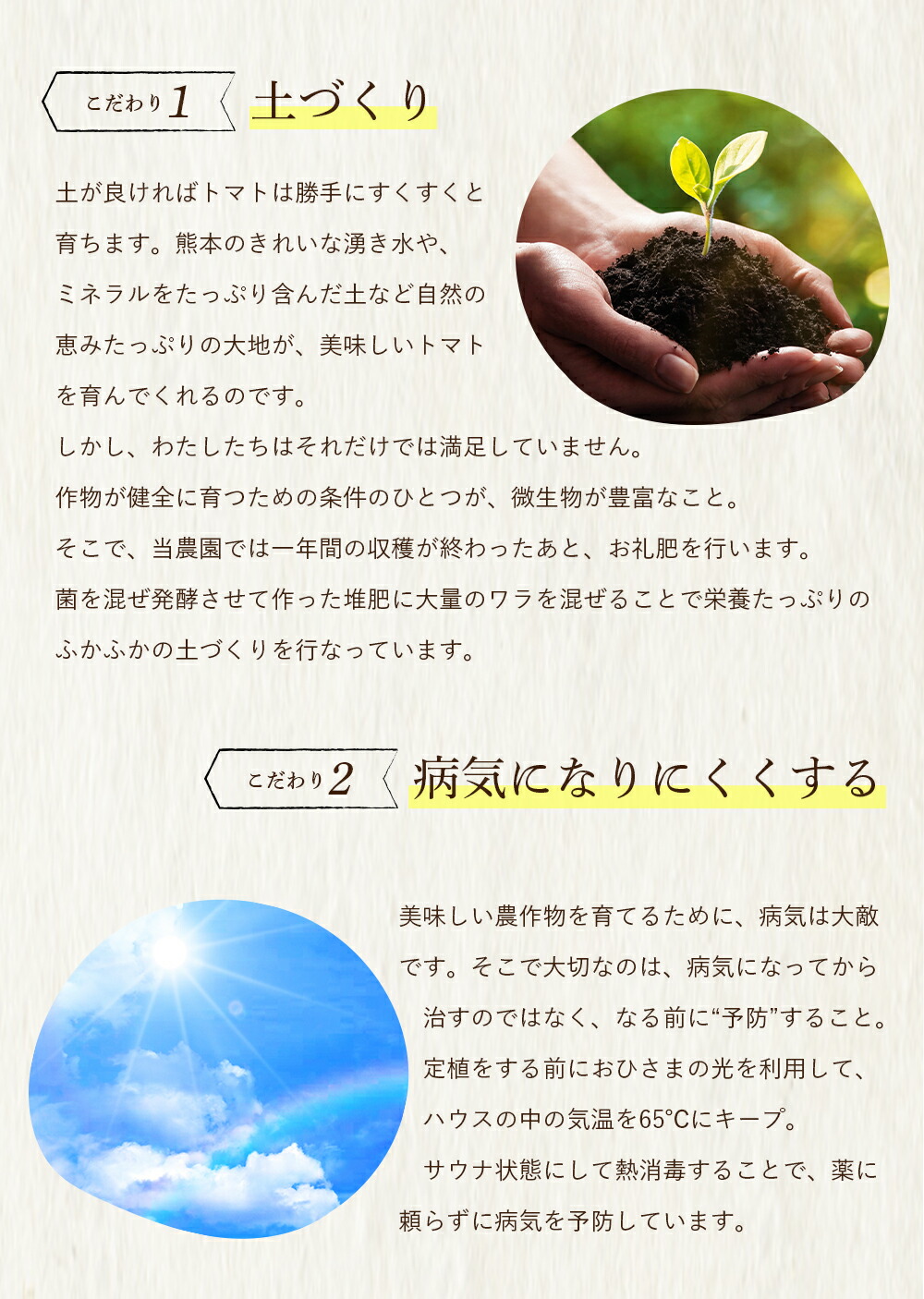 ソムリエミニトマト プラチナ 5