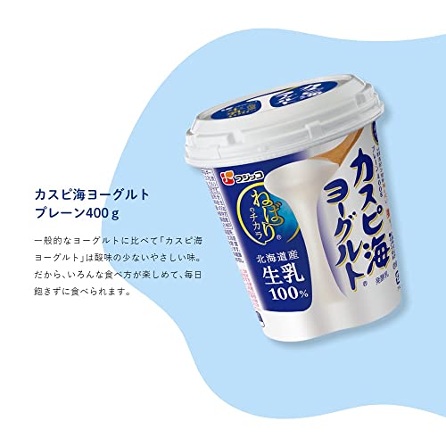 カスピ海ヨーグルト プレーン 2