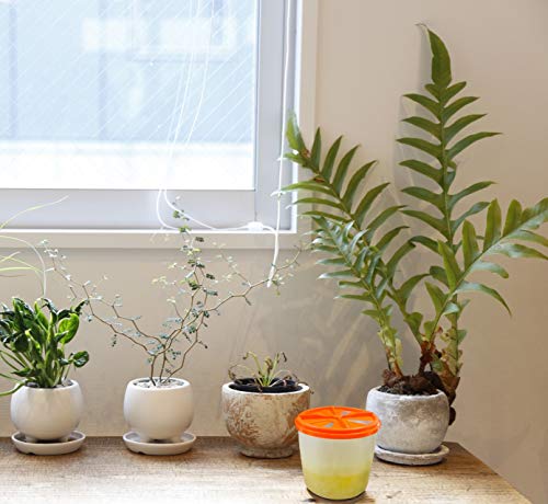 21年 コバエ取りのおすすめ人気ランキング15選 Mybest