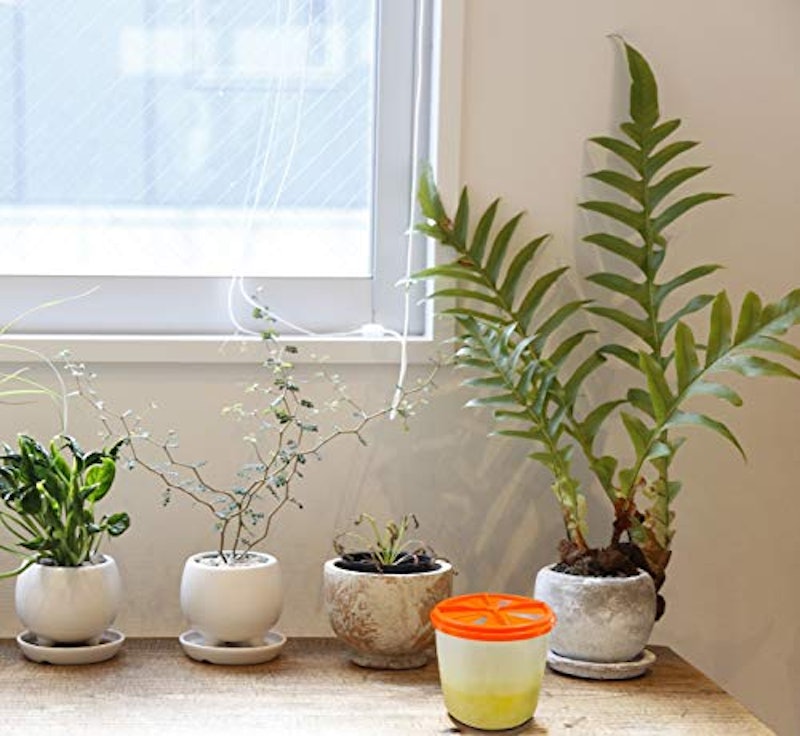 21年 コバエ取りのおすすめ人気ランキング15選 Mybest 21年 コバエ取りのおすすめ人気ランキング15選 Mybest