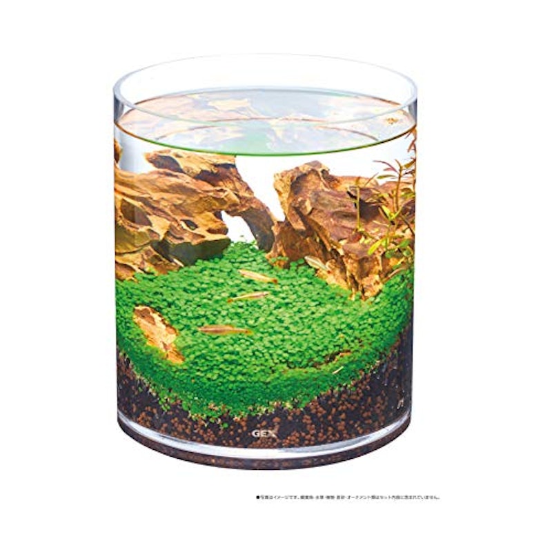 21年 メダカ飼育用水槽のおすすめ人気ランキング10選 Mybest 21年 メダカ飼育用水槽のおすすめ人気ランキング10選 Mybest