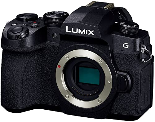 パナソニック LUMIX（ルミックス）のミラーレスのおすすめ人気ランキング【2024年】 | マイベスト