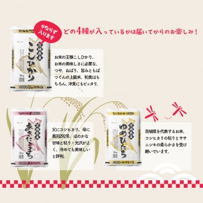 お米4種食べくらべ 2
