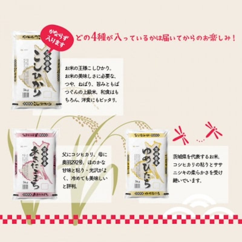 お米4種食べくらべ 2