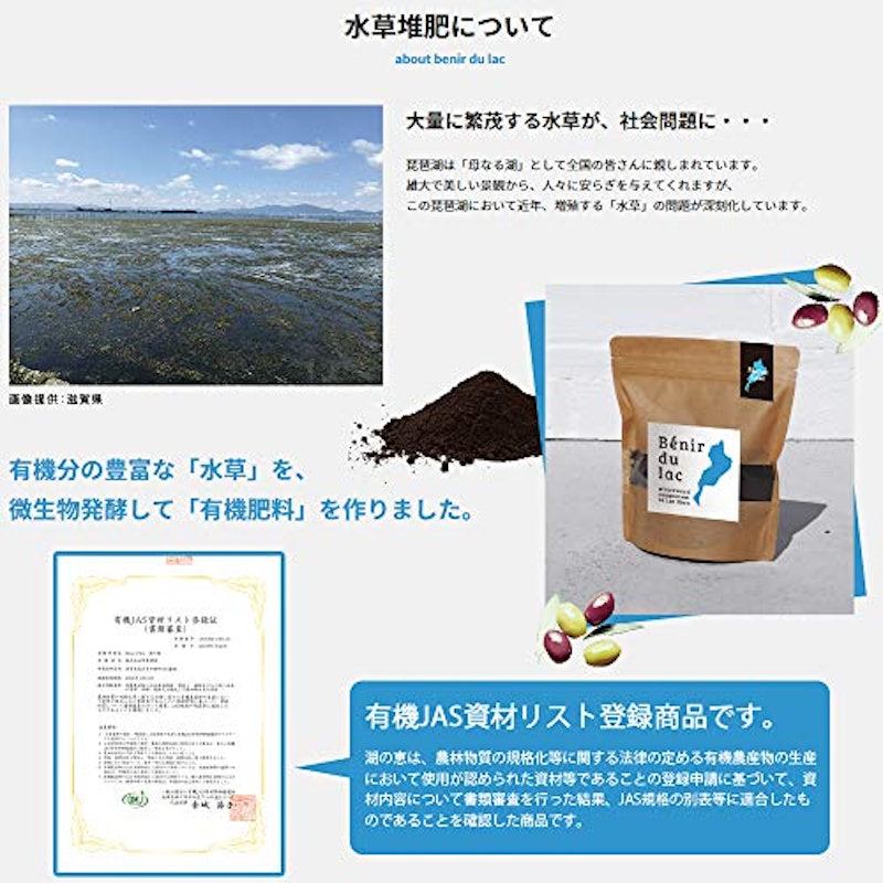 湖の恵 3