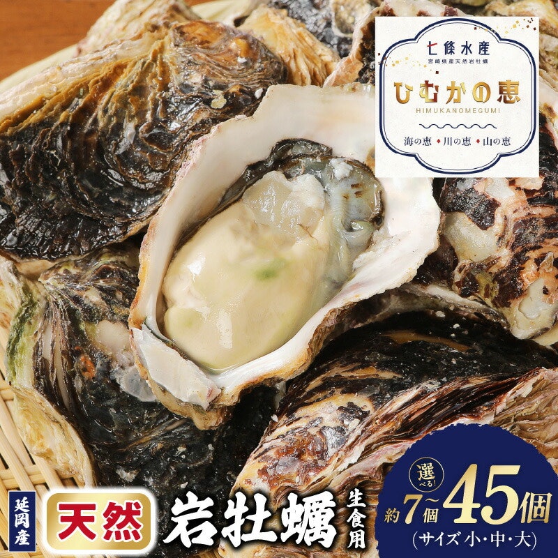 延岡産天然岩牡蠣 1