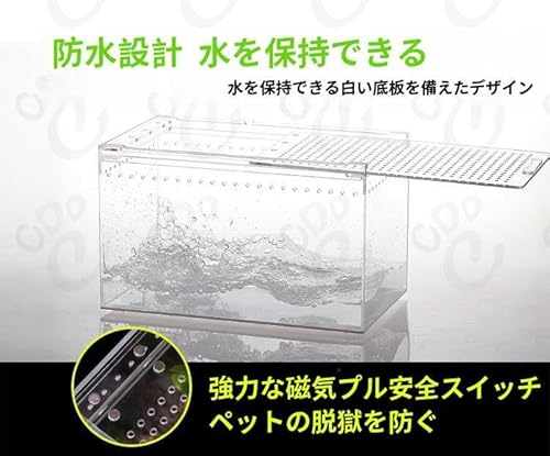 レプタイルボックス 4
