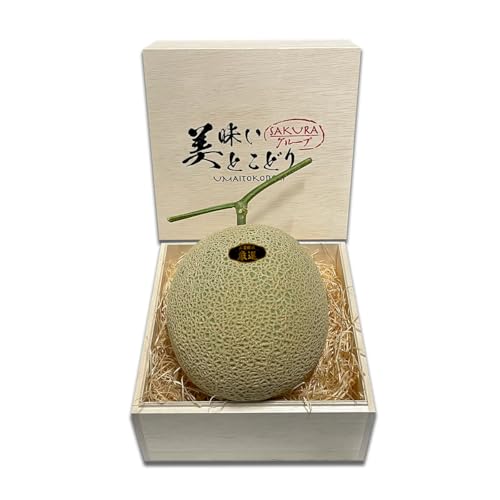 マスクメロン 1